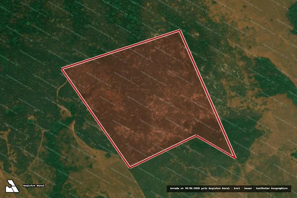 Imagem de satélite de Infração da Flora em Buritis - RO