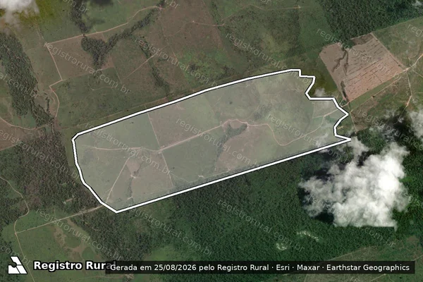 Imagem de satélite de Infração Ambiental em Novo Progresso - PA
