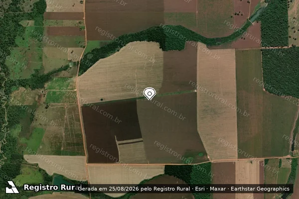 Imagem de satélite de Infração da Flora em Cabixi - RO (marcador da localização)