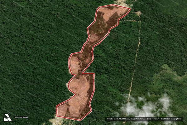 Imagem de satélite de Infração da Flora em Brasília - DF