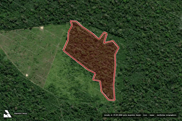 Imagem de satélite de Infração da Flora em Mojuí dos Campos - PA