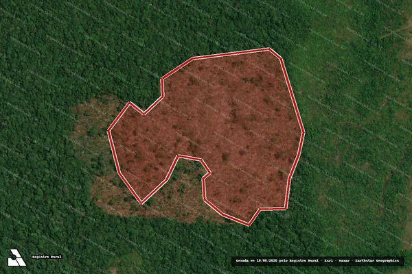 Imagem de satélite — Embargo IBAMA — Infração da Flora - Apuí/AM