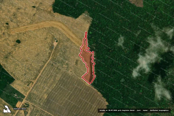 Imagem de satélite de Infração da Flora em Porto Velho - RO