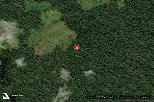 Imagem de satélite de Infração da Flora em Feijó - AC (marcador da localização)