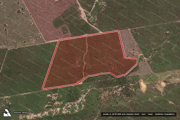 Imagem de satélite de Infração da Flora em Moreilândia - PE