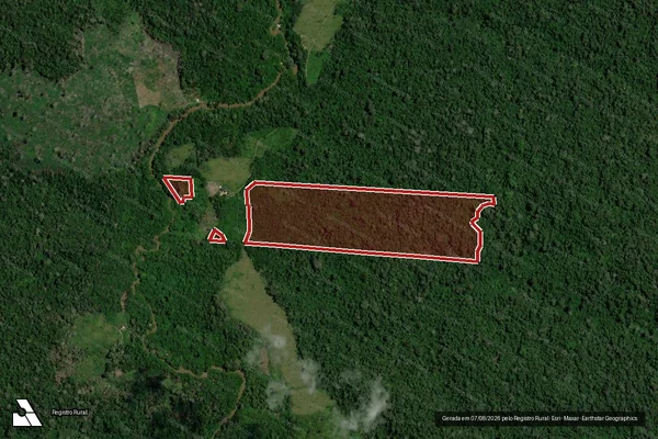Imagem de satélite — Embargo IBAMA — Infração da Flora - Uruará/PA