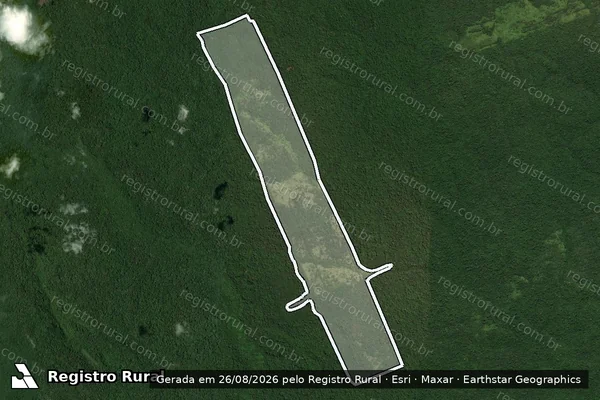 Imagem de satélite de Infração Ambiental em São Félix do Xingu - PA