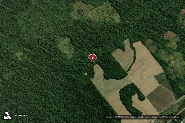 Imagem de satélite de Infração da Flora em Humaitá - AM (marcador da localização)