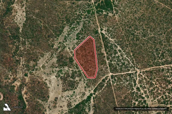 Imagem de satélite de Infração da Flora em Urucuia - MG