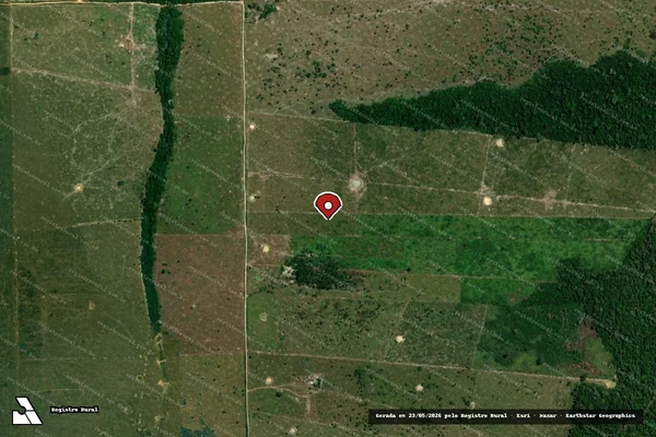 Imagem de satélite de Infração da Flora em Porto Velho - RO (marcador da localização)