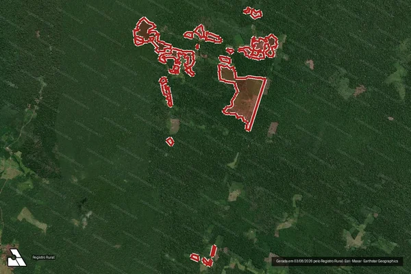Imagem de satélite de Infração da Flora em Alenquer - PA