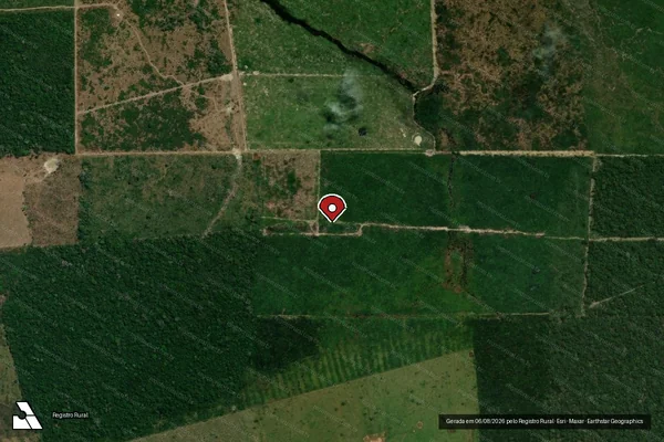 Imagem de satélite — Embargo IBAMA — Infração da Flora - Porto Velho/RO