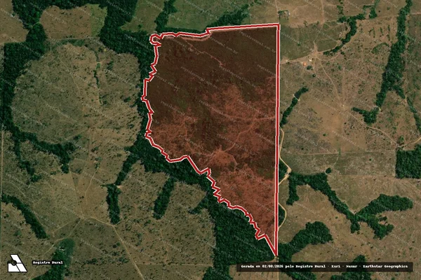 Imagem de satélite de Infração da Flora em Colniza - MT