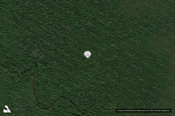 Imagem de satélite de Infração da Flora em Novo Aripuanã - AM (marcador da localização)
