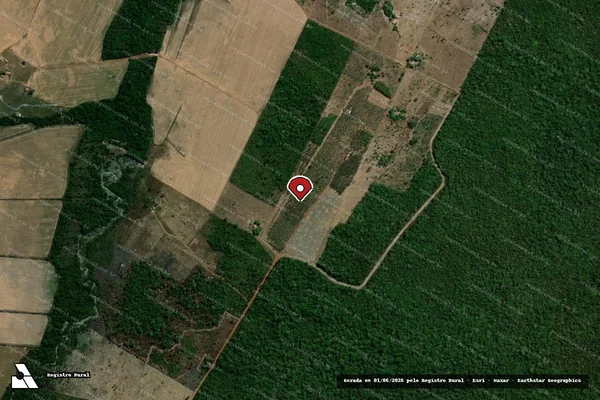 Imagem de satélite — Embargo IBAMA — Infração da Flora — Caseara/TO