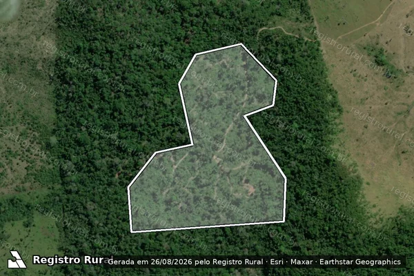 Imagem de satélite de Infração da Flora em Anapu - PA