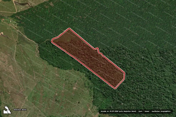 Imagem de satélite de Infração da Flora em Boca do Acre - AM