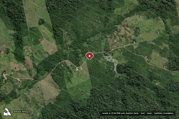 Imagem de satélite de Infração da Flora em Placas - PA (marcador da localização)