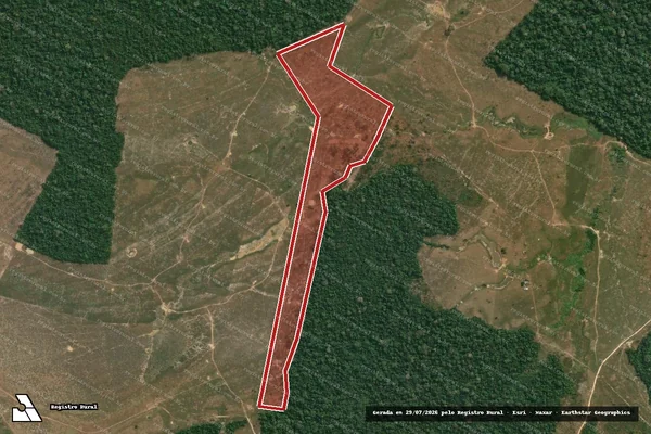 Imagem de satélite de Infração da Flora em Boca do Acre - AM