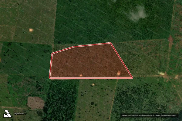 Imagem de satélite de Infração da Flora em Porto Velho - RO