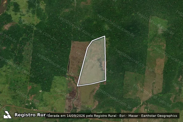 Imagem de satélite — Embargo IBAMA — Infração da Flora - Rorainópolis/RR