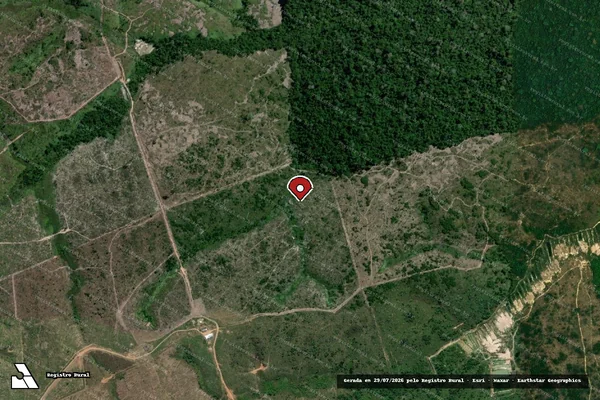 Imagem de satélite de Infração Ambiental em Novo Progresso - PA (marcador da localização)