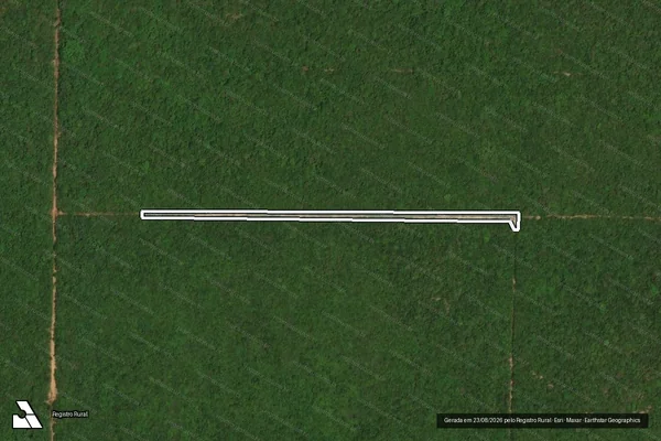 Imagem de satélite de Infração referente a Qualidade Ambiental em Almeirim - PA