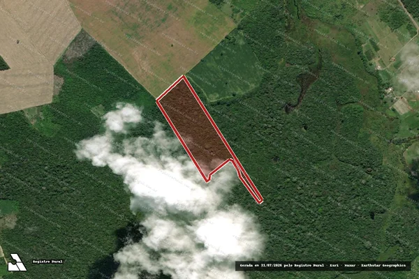 Imagem de satélite de Infração da Flora em Santarém - PA