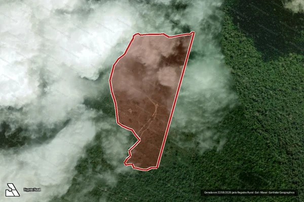 Imagem de satélite — Embargo IBAMA — Infração da Flora — Porto de Moz/PA