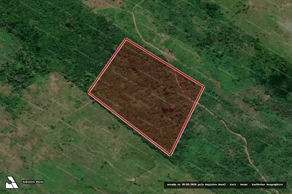 Imagem de satélite de Infração Ambiental em Anapu - PA