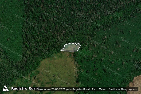 Imagem de satélite de Infração da Flora em Porto Velho - RO