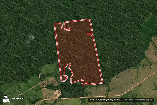 Imagem de satélite de Infração da Flora em Maués - AM