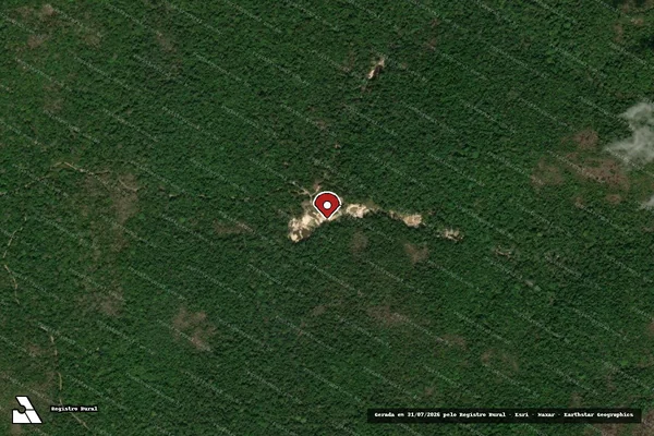 Imagem de satélite de Infração Ambiental em Monte Alegre - PA (marcador da localização)