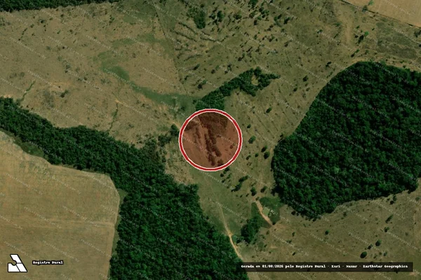 Imagem de satélite — Embargo IBAMA — Infração Ambiental — Castanheiras/RO