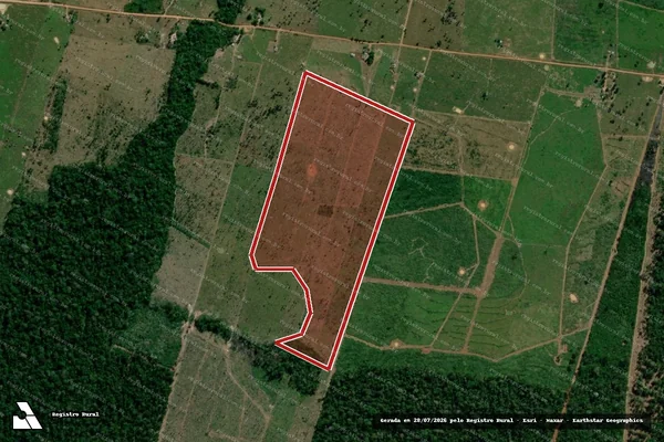 Imagem de satélite de Infração da Flora em Porto Velho - RO
