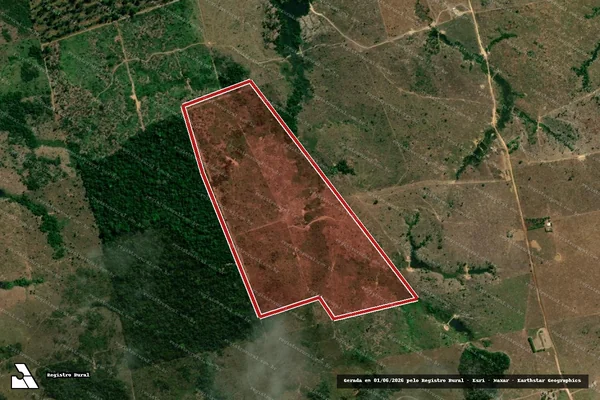 Imagem de satélite de Infração da Flora em Colniza - MT