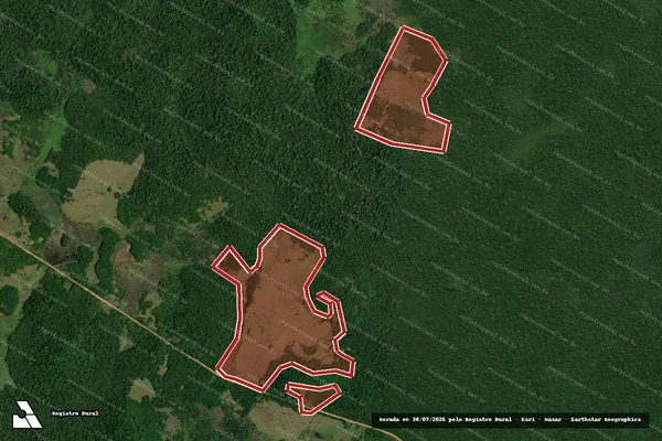 Imagem de satélite de Infração Ambiental em Caracaraí - RR