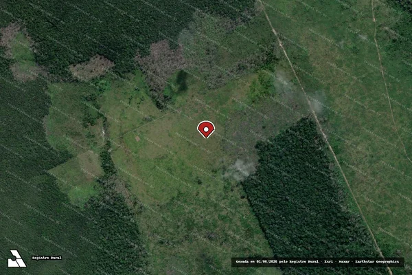 Imagem de satélite de Infração da Flora em Manaus - AM (marcador da localização)