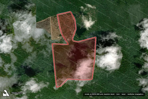 Imagem de satélite de Infração Ambiental em Portel - PA