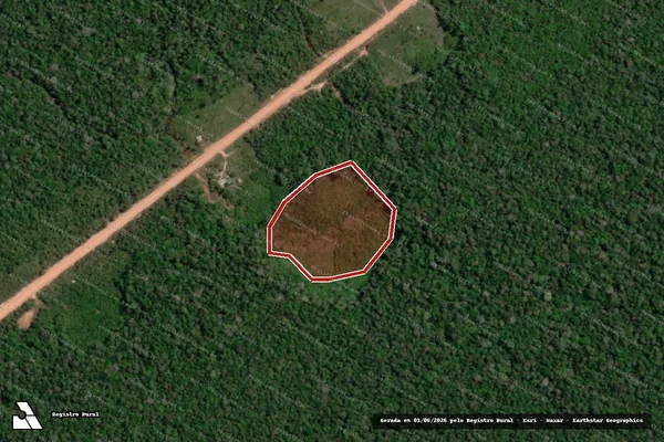 Imagem de satélite de Infração da Flora em Borba - AM