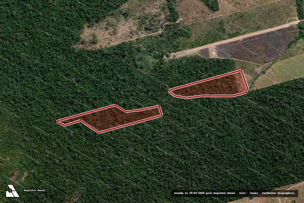 Imagem de satélite de Infração da Flora em Novo Progresso - PA