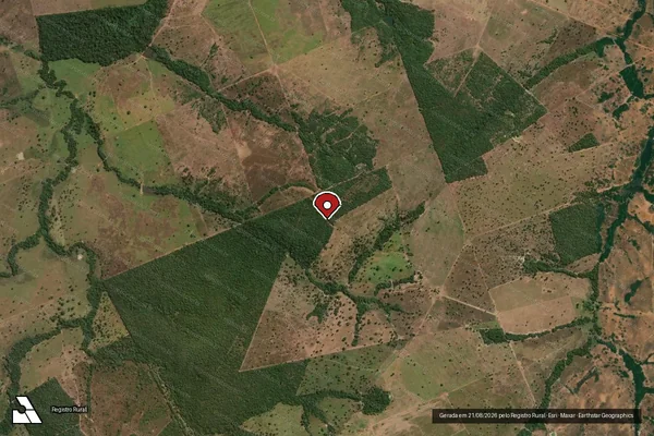 Imagem de satélite de Infração da Flora em São Miguel do Araguaia - GO (marcador da localização)