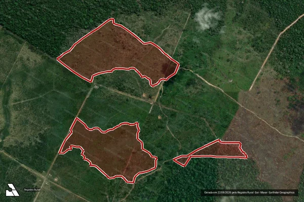 Imagem de satélite de Infração Ambiental em Humaitá - AM