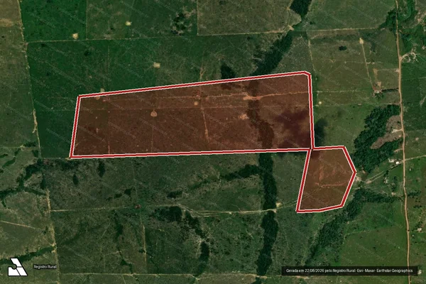 Imagem de satélite de Infração da Flora em Porto Velho - RO