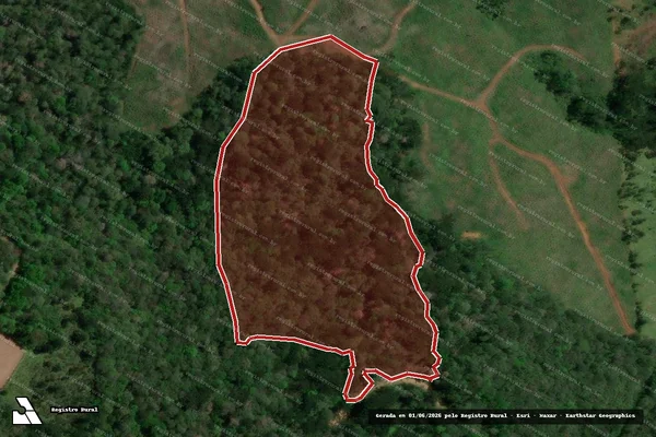 Imagem de satélite de Infração da Flora em Bituruna - PR