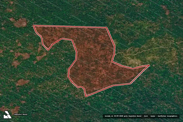 Imagem de satélite de Infração da Flora em Altamira - PA