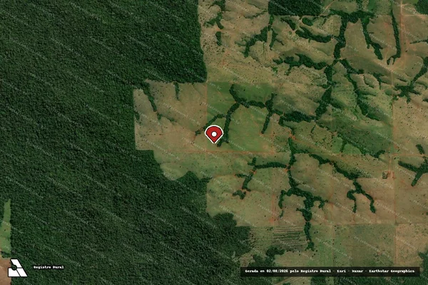 Imagem de satélite de Infração Ambiental em Vilhena - RO (marcador da localização)