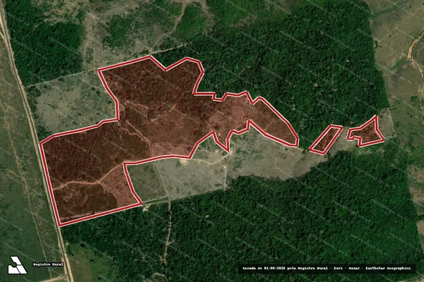 Imagem de satélite de Infração da Flora em Uruará - PA