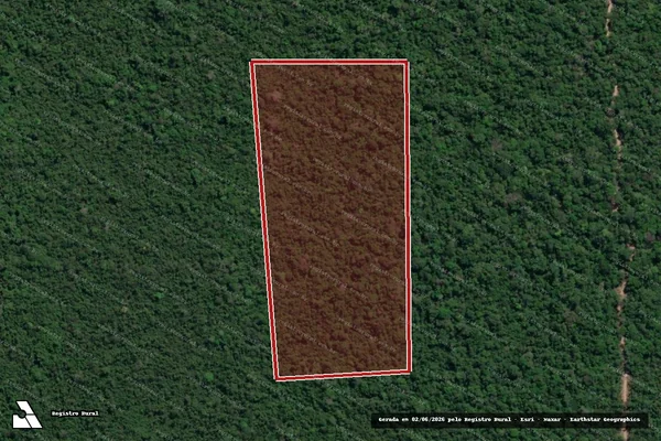 Imagem de satélite de Infração da Flora em São Félix do Xingu - PA