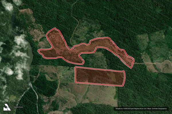Imagem de satélite de Infração da Flora em Pacajá - PA